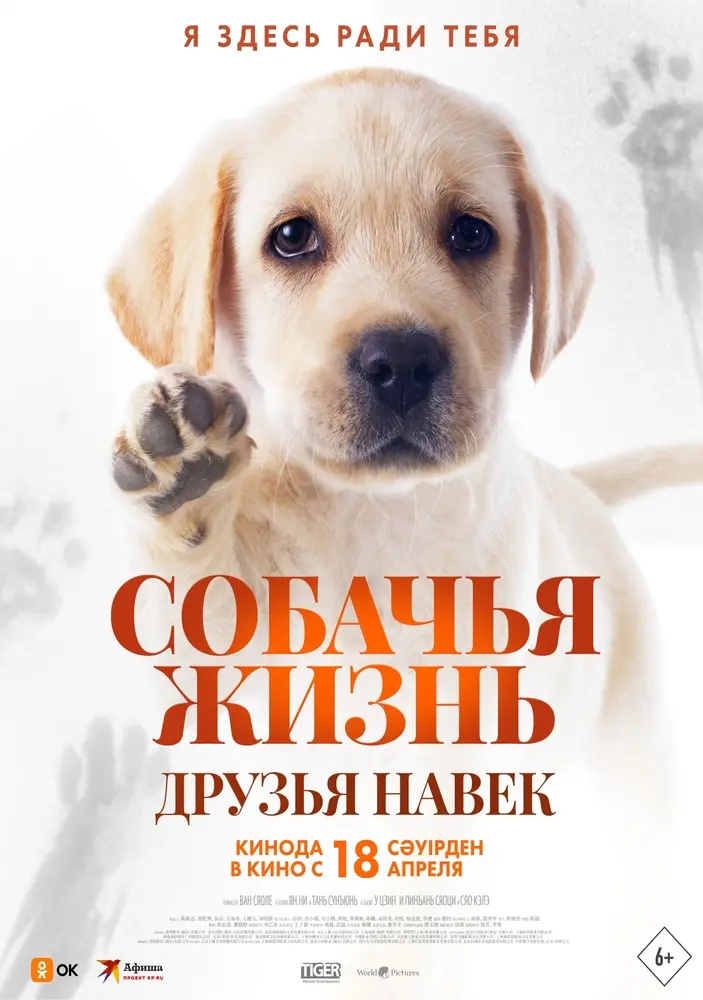 Постер фильма 'Собачья жизнь: Друзья навек'