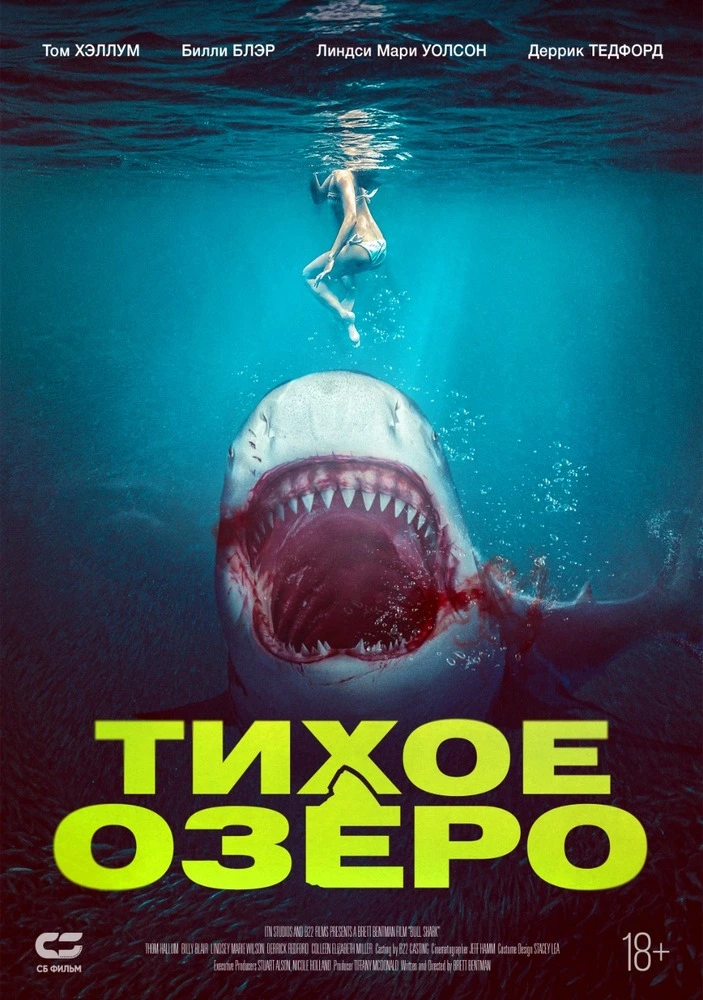 Постер фильма 'Тихое озеро'