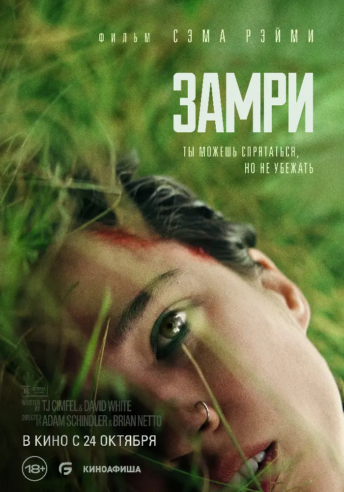 Постер фильма 'ЗАМРИ'